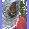 filis3.jpg