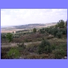 landschaft2.jpg